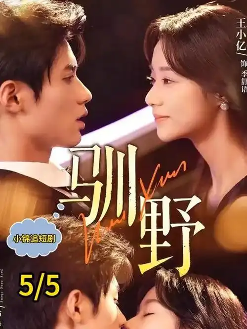长夜列车剧集海报
